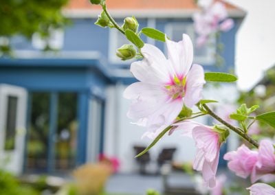 About us 3 BnB De Moerbei Texel BnB De Moerbei Texel in de zomer 27 » BnB De Moerbei Texel