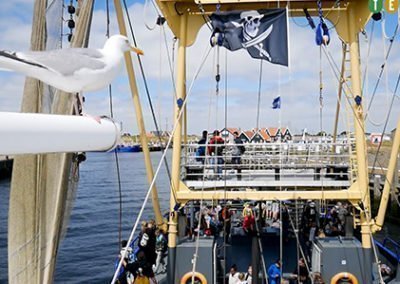 18019 garnalenvissen &raquo; BnB De Moerbei Texel