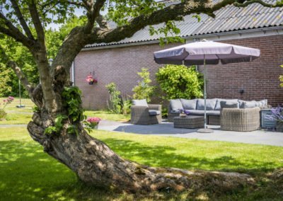 BnB De Moerbei Texel De Cocksdorp